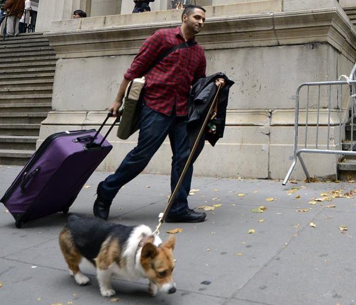 Guy Evacuating with a dog