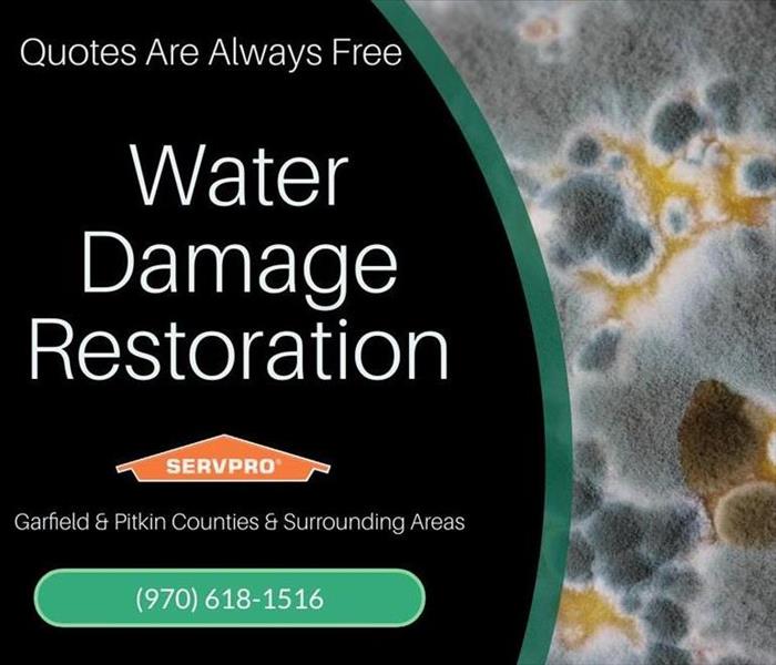 image of mold with graphic saying quotes are free, water damage restoration